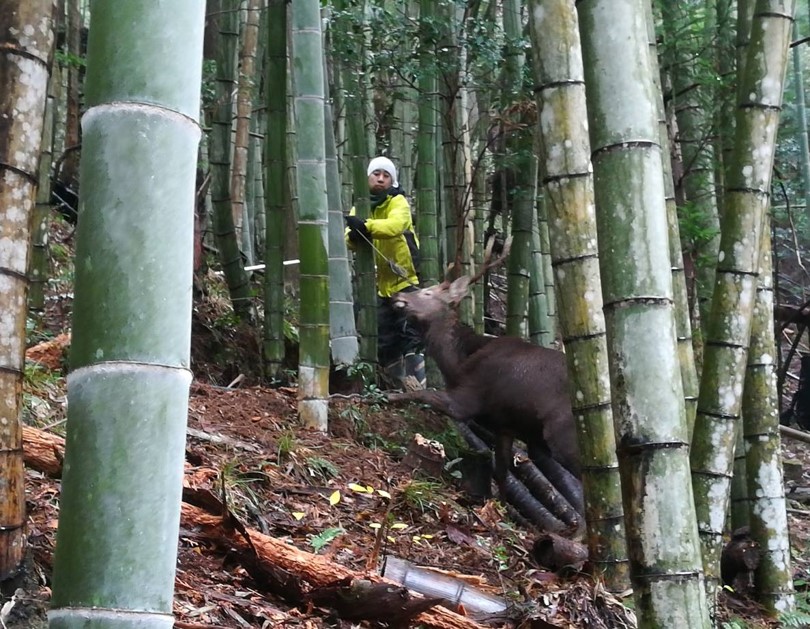 寒山拾得