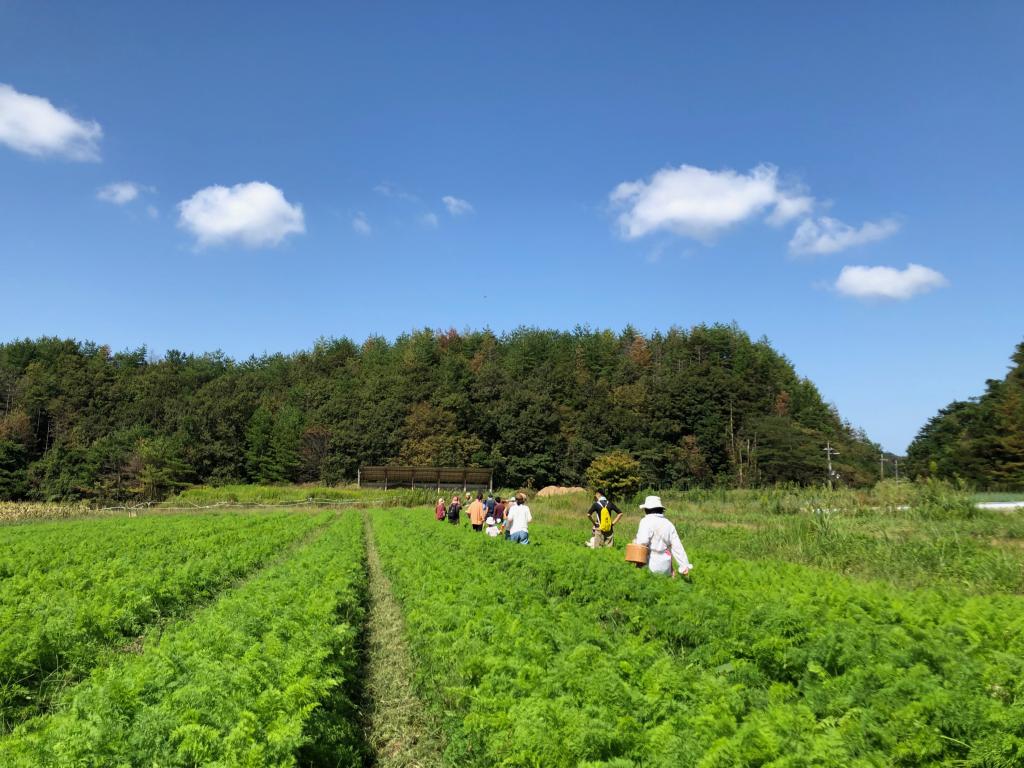 農体験！てんとうむしばたけの畑さんぽ