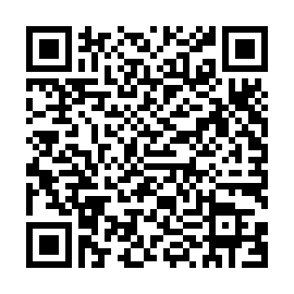 伊根湾巡り遊覧船日出駅発