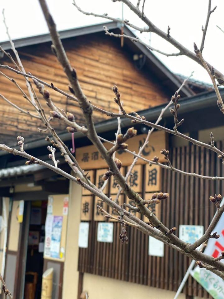 居酒屋 一心