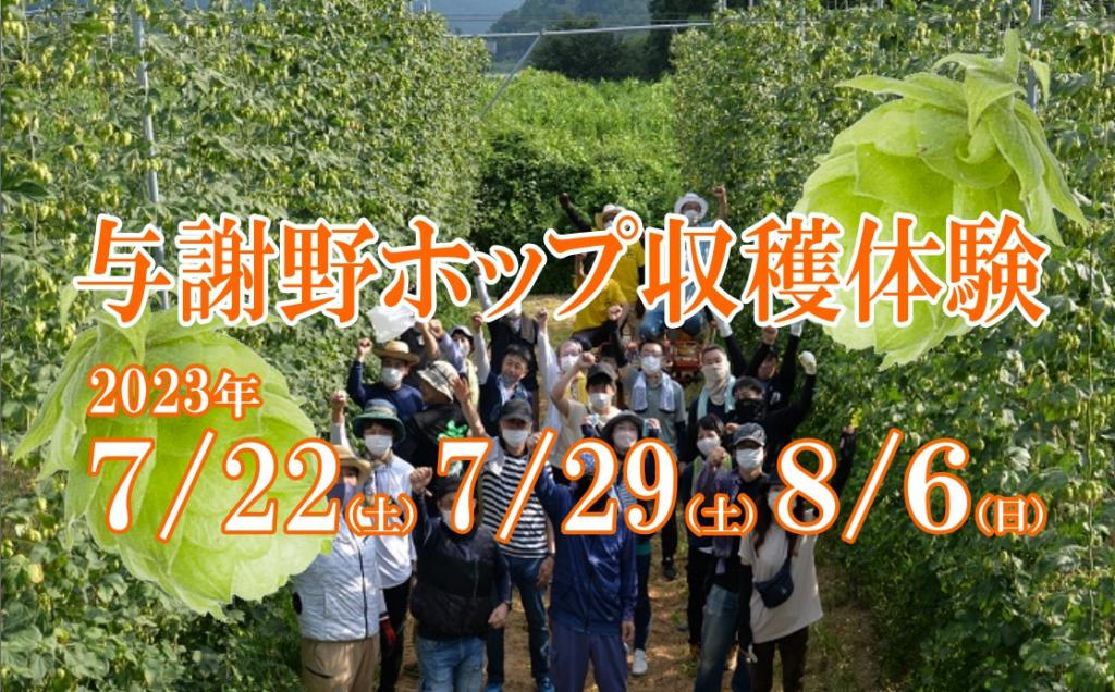 【与謝野町】国産ホップの香り高さを実感しよう！ 与謝野ホップ収穫体験　予約受付中！