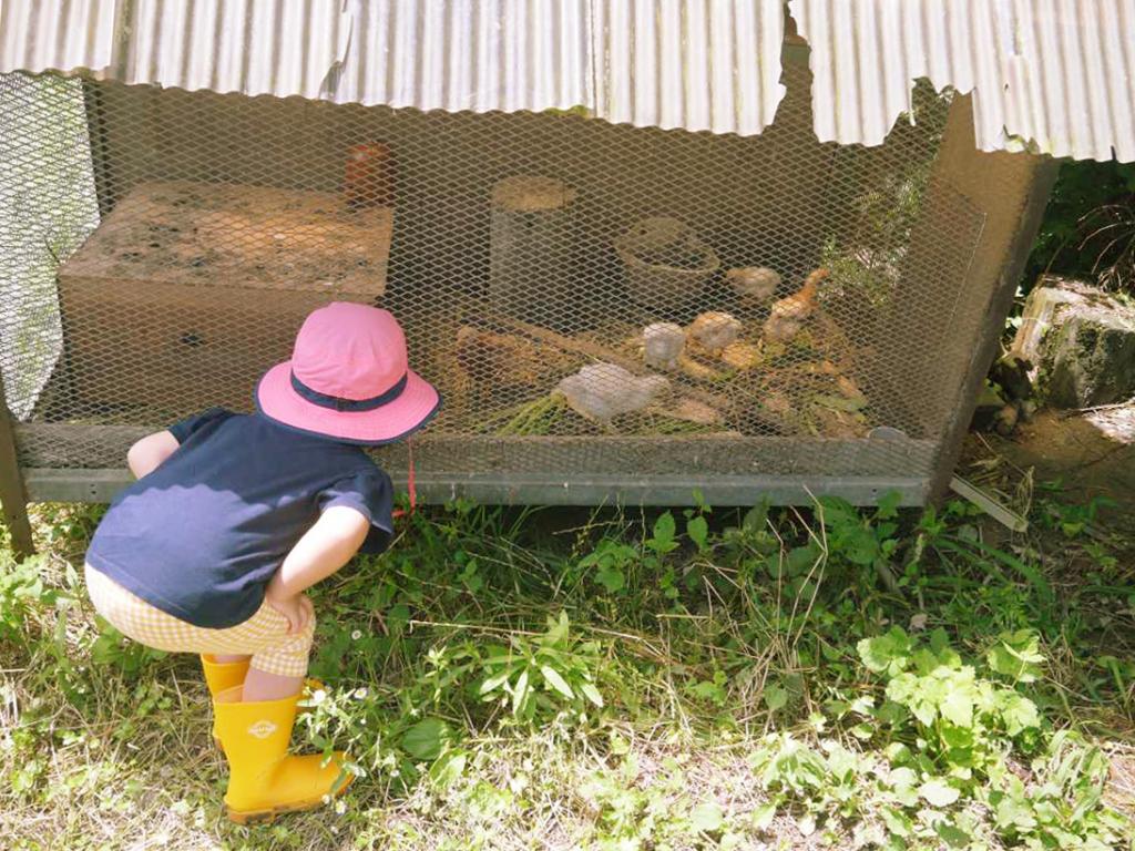 海の京都Times「京丹後の大地を味わい尽くす、農業体験の旅」を公開しました