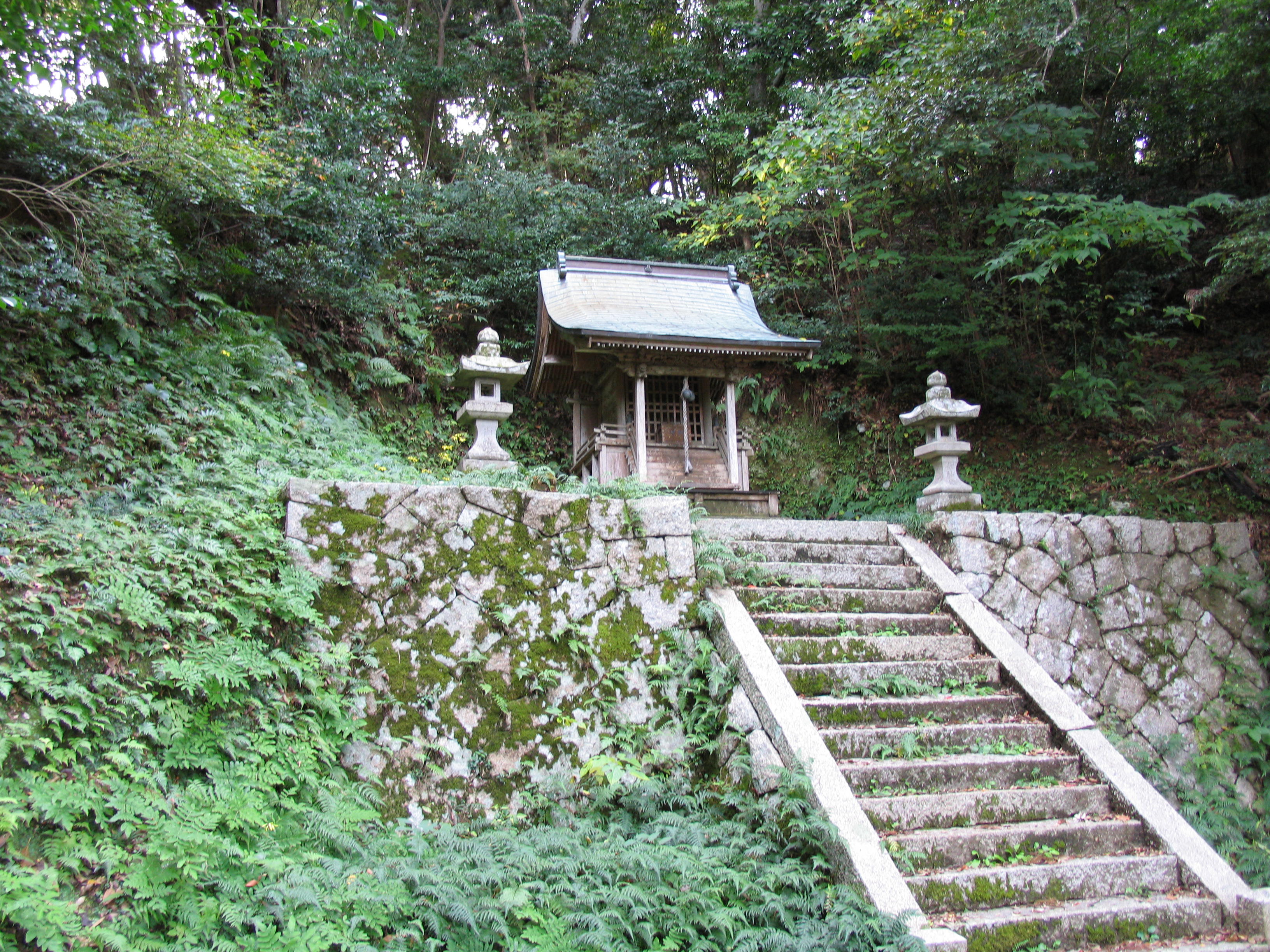 「蛭子神社(青島）」②