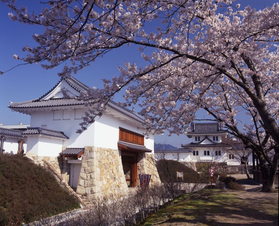 「田辺城と舞鶴公園」