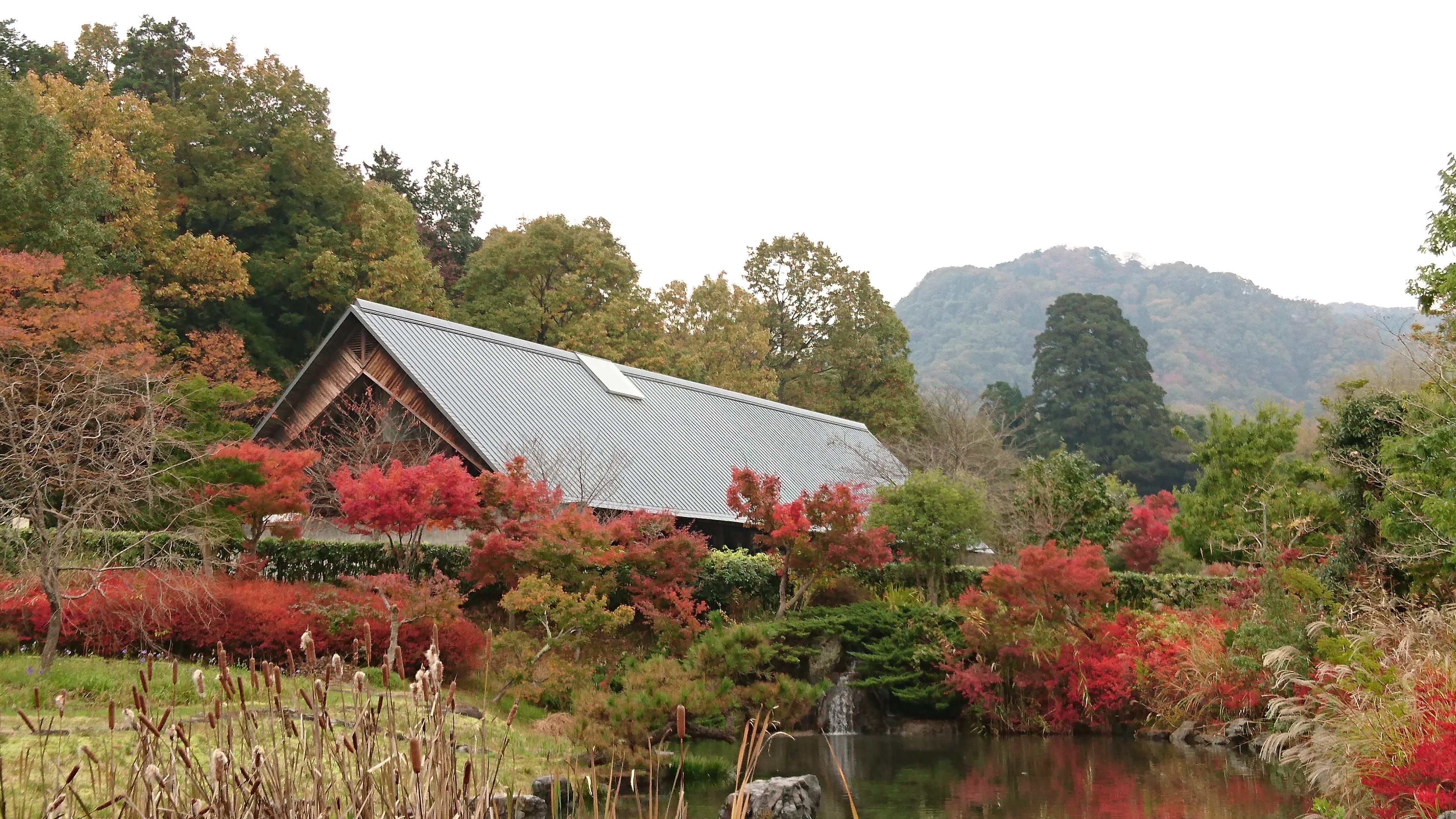 「小町公園」②