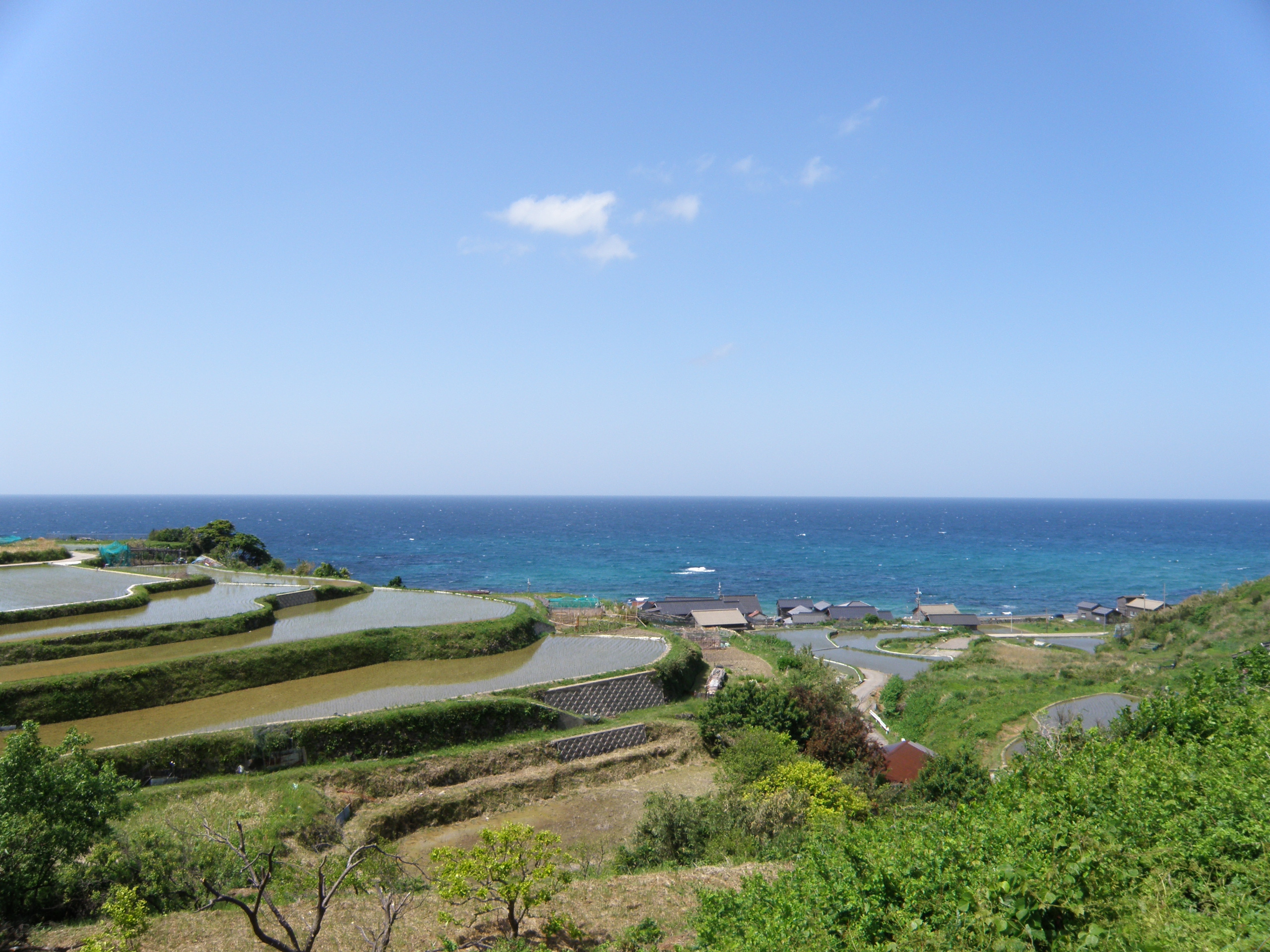 袖志の棚田 フォトギャラリー 海の京都観光圏