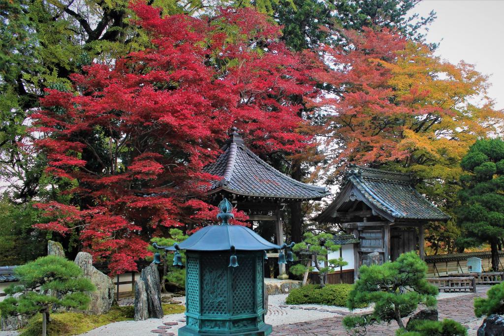 「長安寺紅葉庭」①