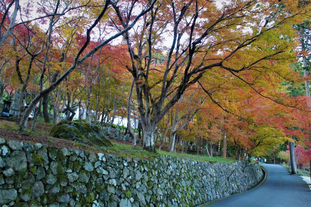 「長安寺紅葉庭」②