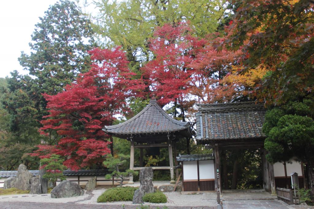 「長安寺紅葉庭」③