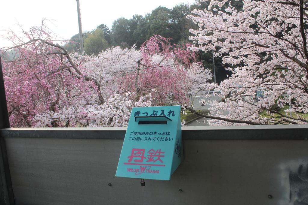 「公庄駅」桜