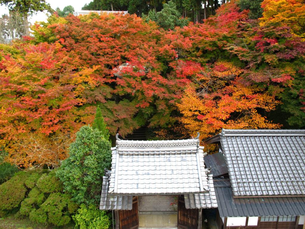 「觀音寺」②