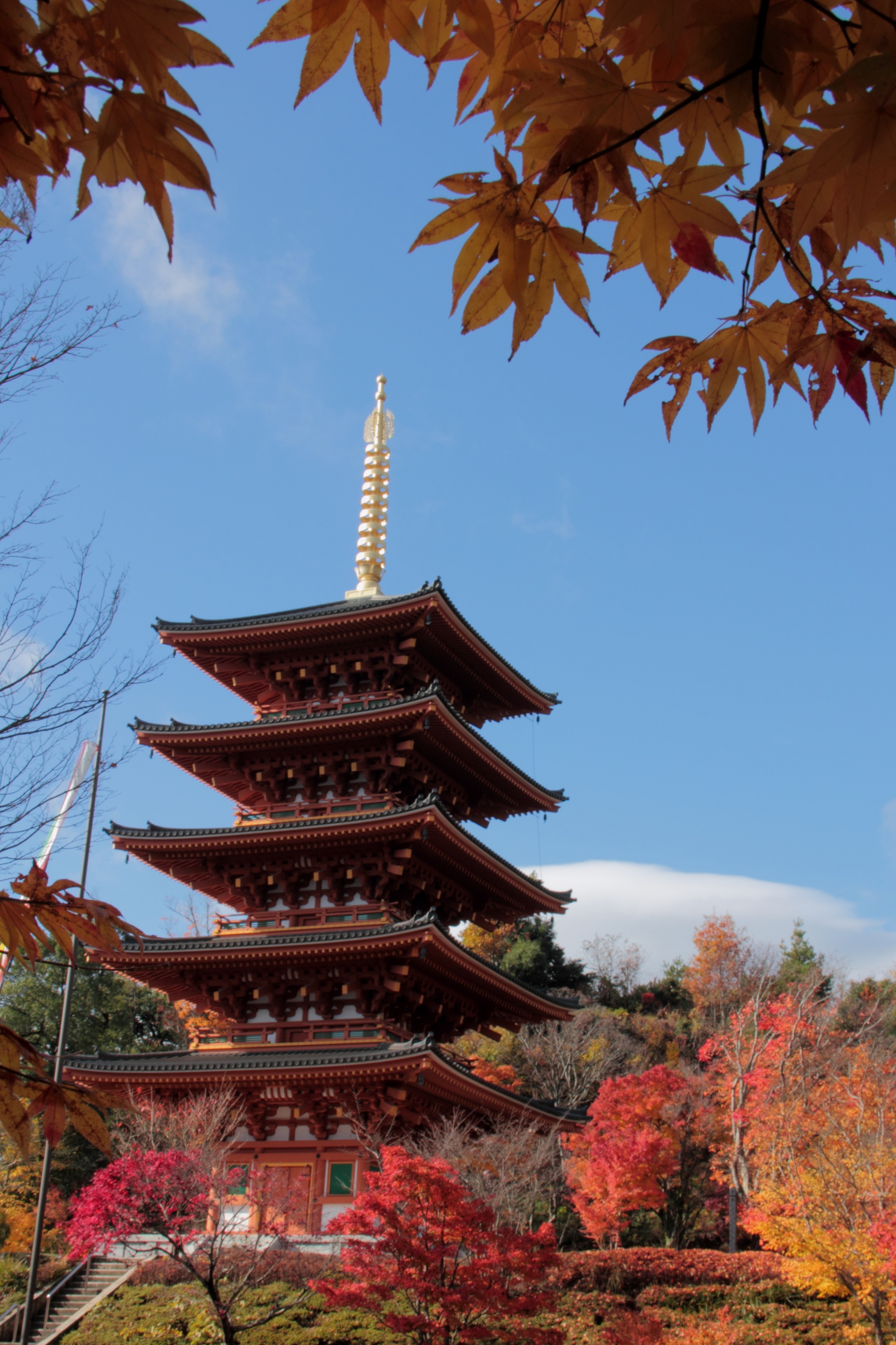 成相寺　紅葉