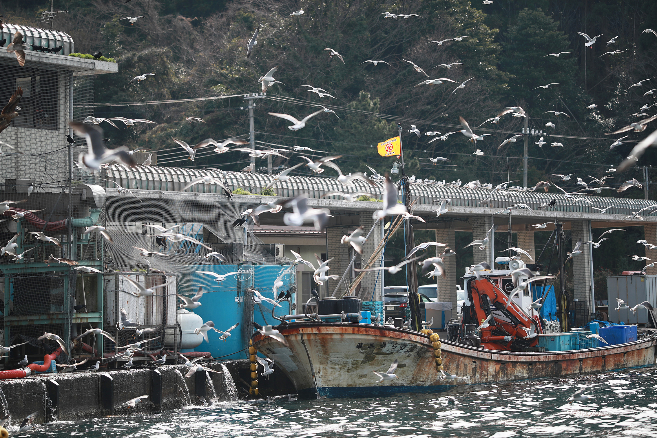 伊根浦漁港