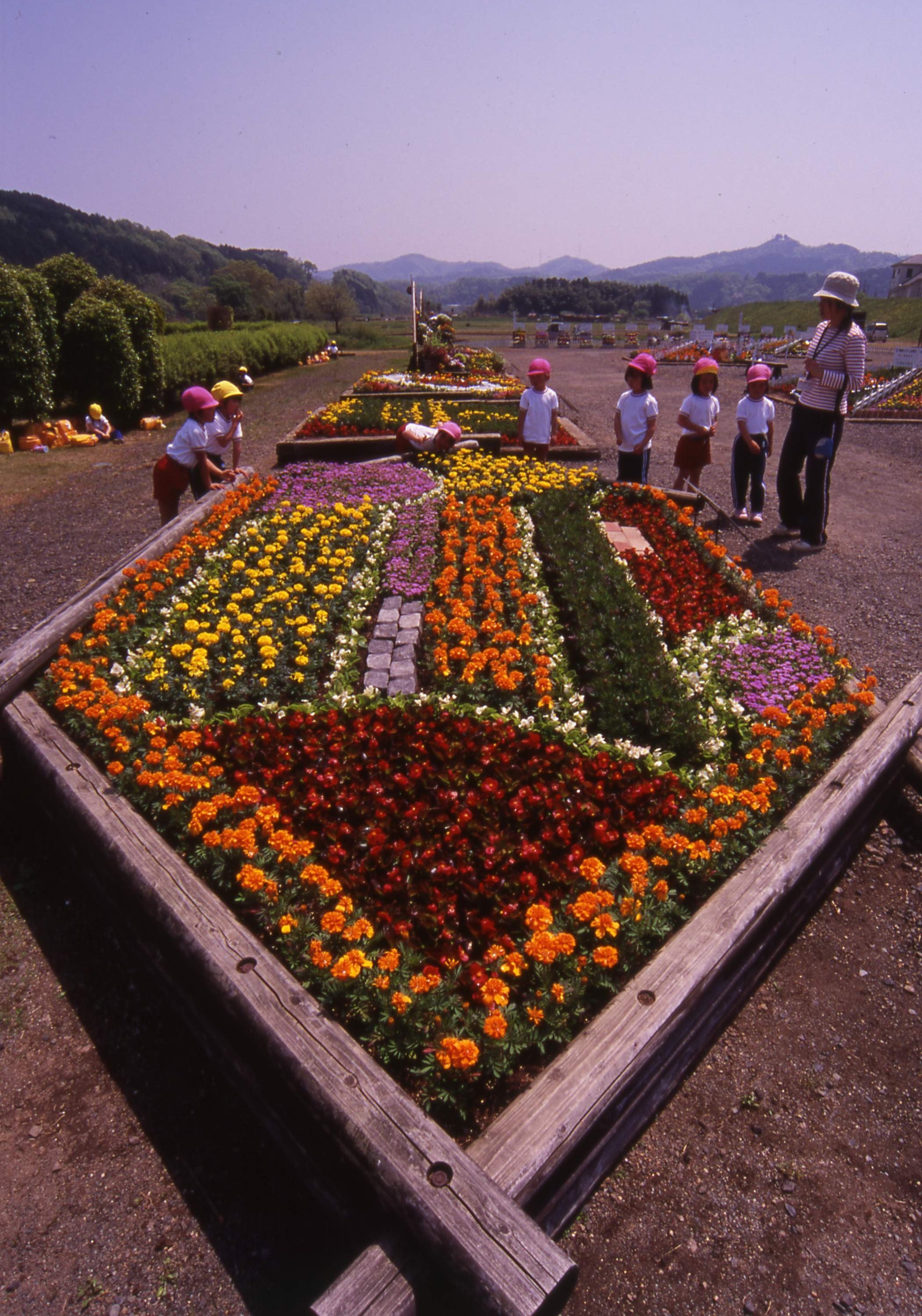 花公園 フォトギャラリー 海の京都観光圏