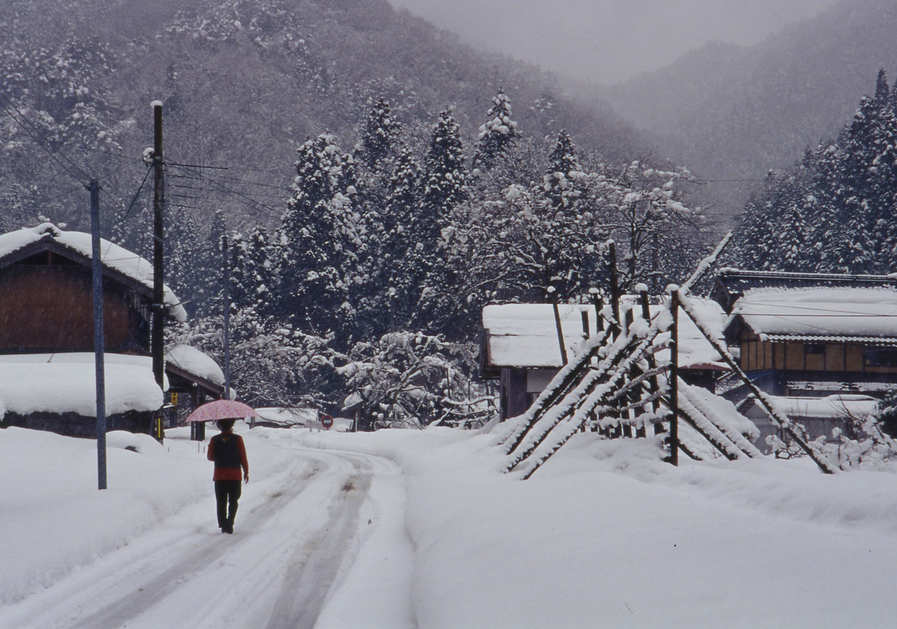 「里山雪景色」