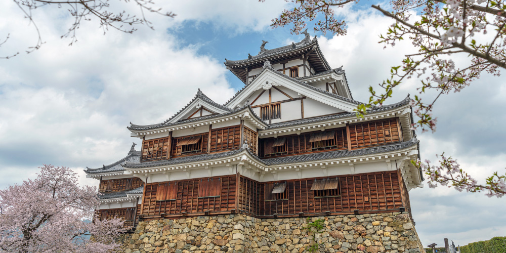 福知山市を見る 
