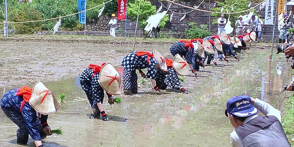 まずは緑の体験