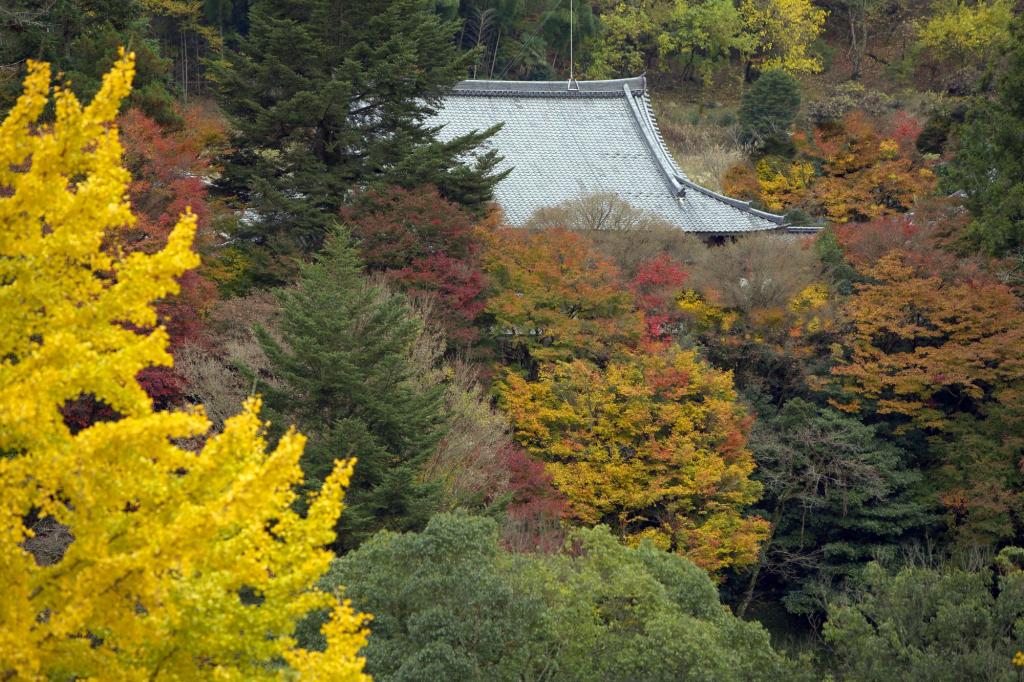 顕龍山興雲寺