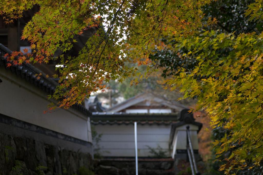 顕龍山興雲寺