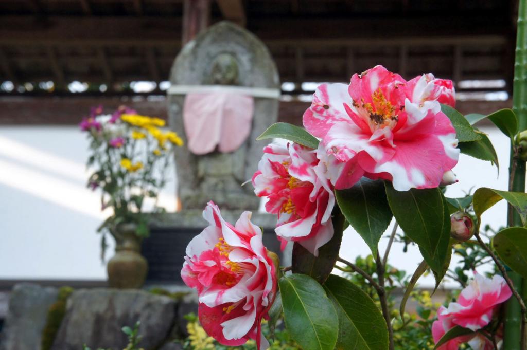 顕龍山興雲寺