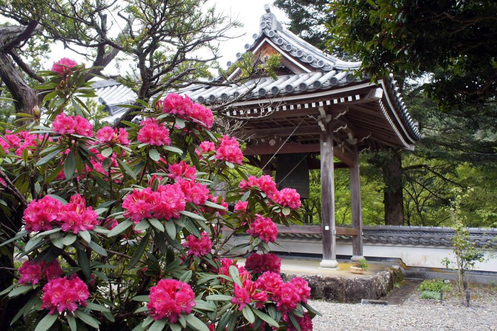 顕龍山興雲寺