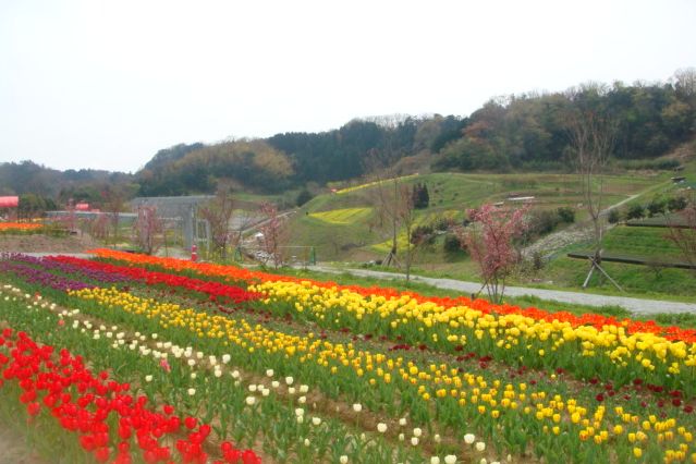 花郷ＯＫＡＤＡ