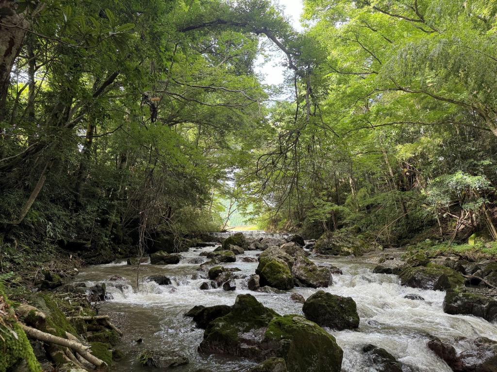 五郎の滝