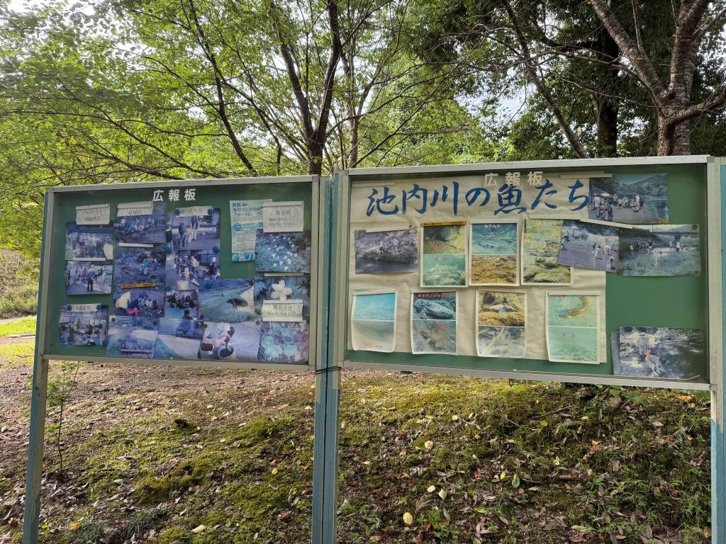 五郎の滝