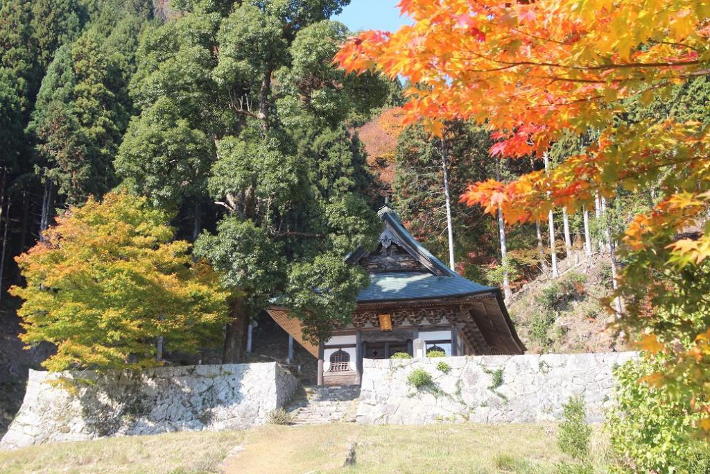 金光寺と三岳山