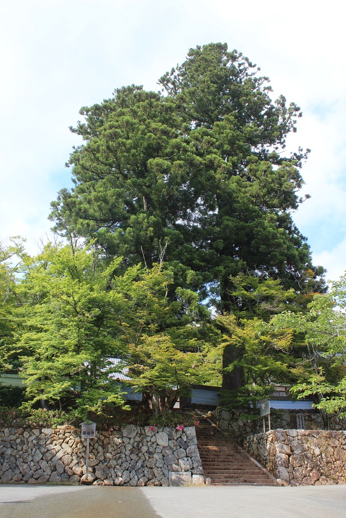 醍醐寺