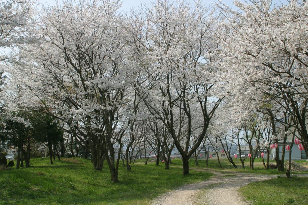 峯空園