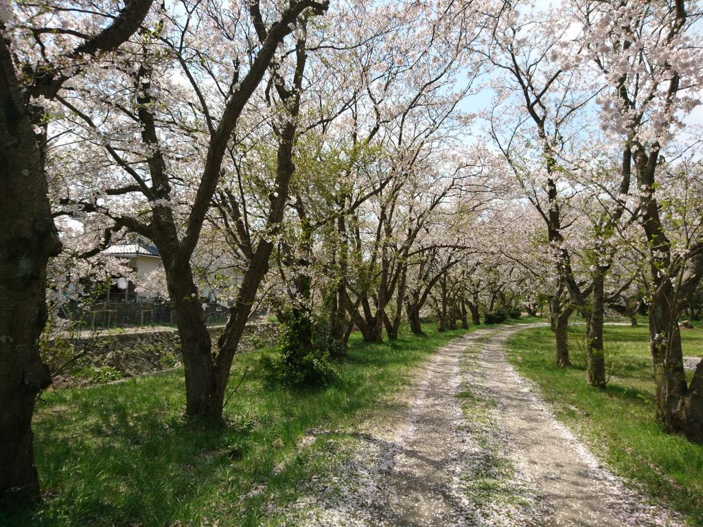 峯空園