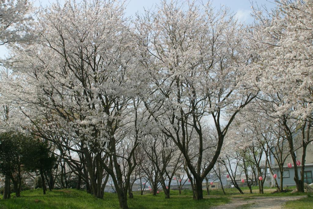 峯空園