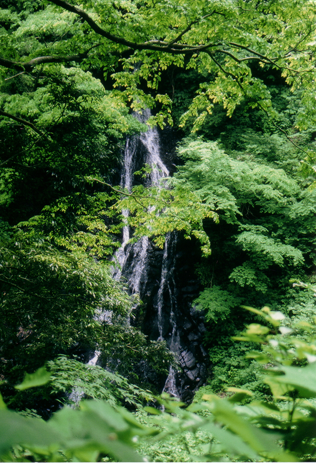 味土野ガラシャ大滝