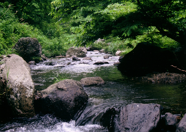 野間川