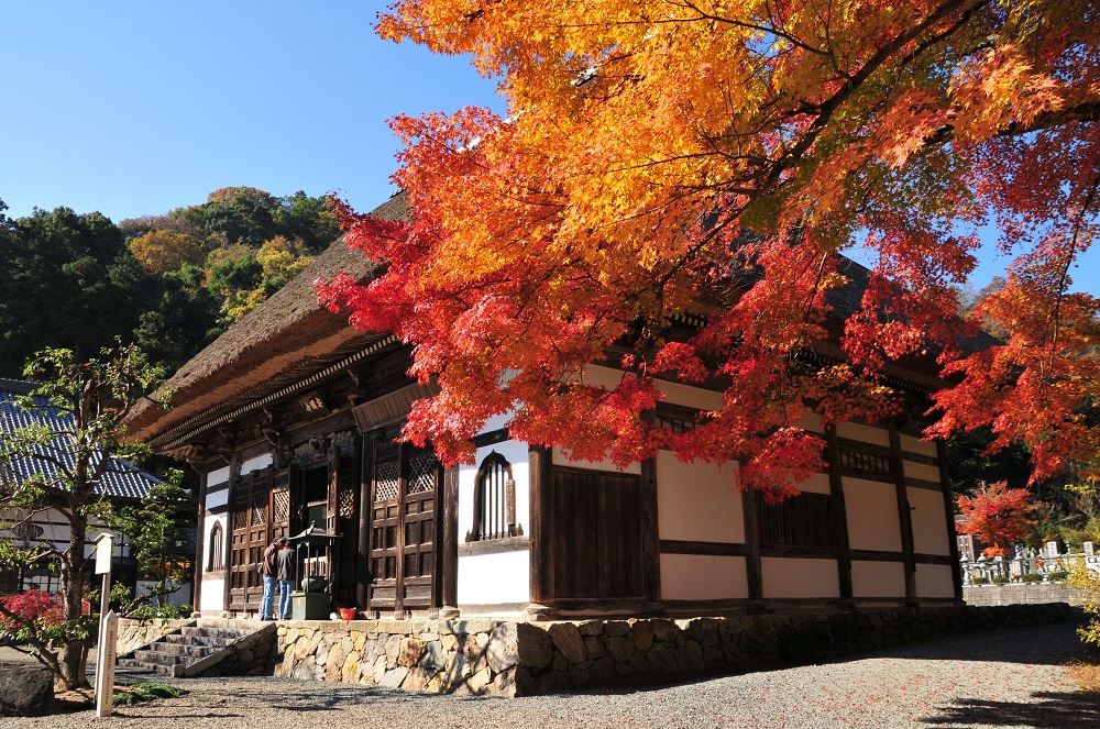 安国寺