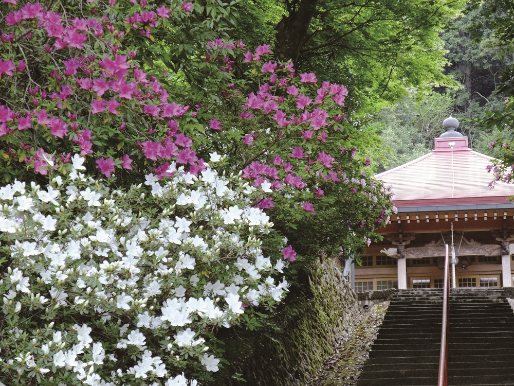 楞厳寺（関西花の寺）