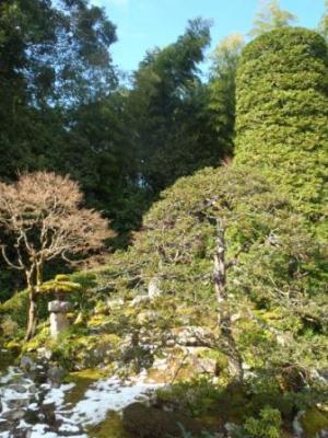 照福寺（庭園）