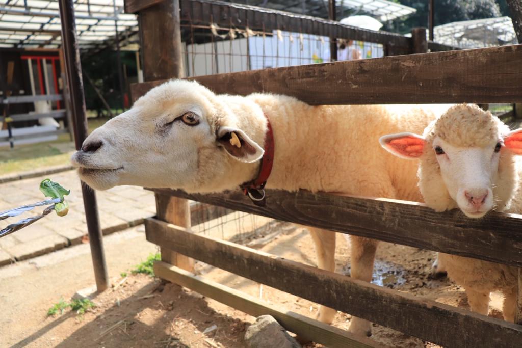 丹後王国「食のみやこ」