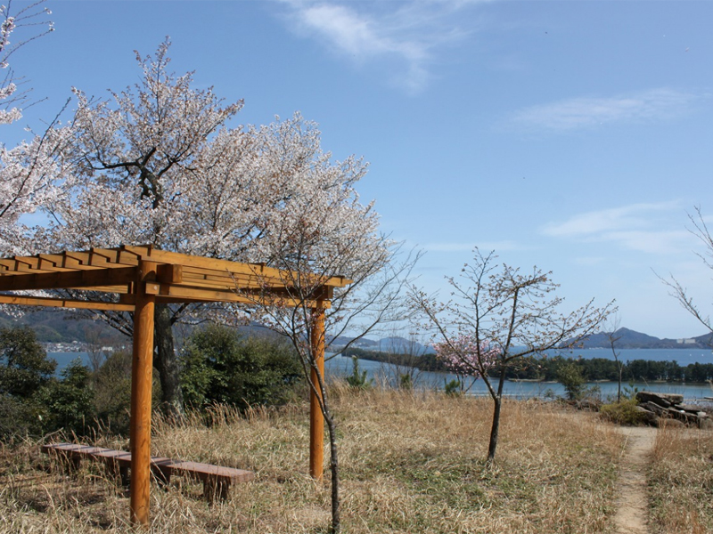 桜山展望所