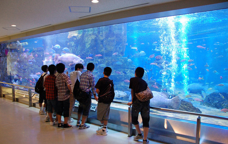 丹後魚っ知館