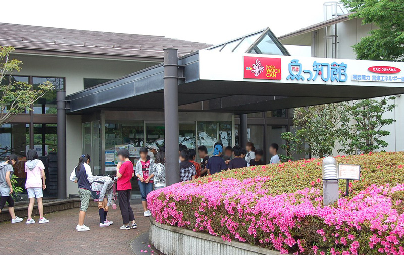 丹後魚っ知館