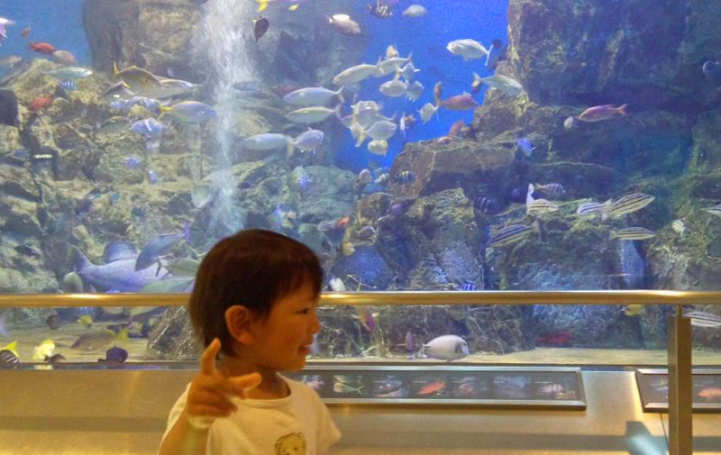 丹後魚っ知館