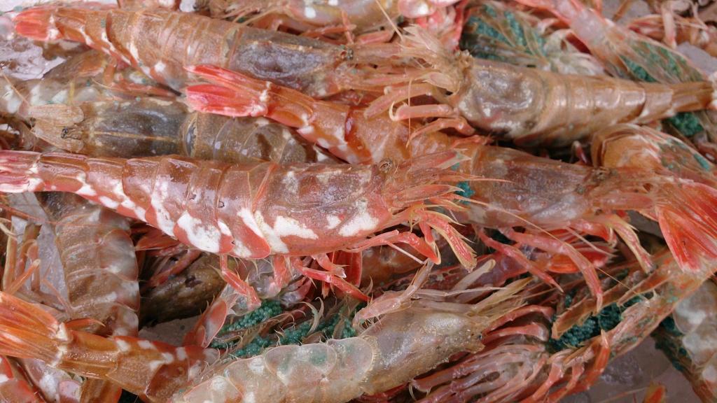 舞鶴魚料理魚源（東舞鶴店）　【旬食 秋】