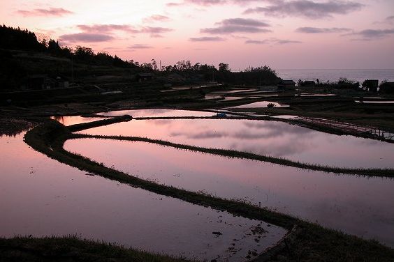 袖志の棚田