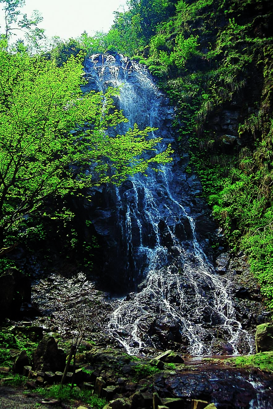 霧降りの滝