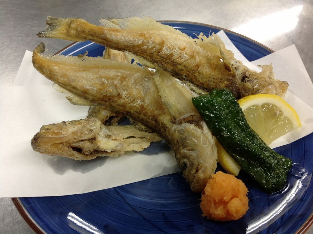 海鮮料理 美加茂 【旬食 春】