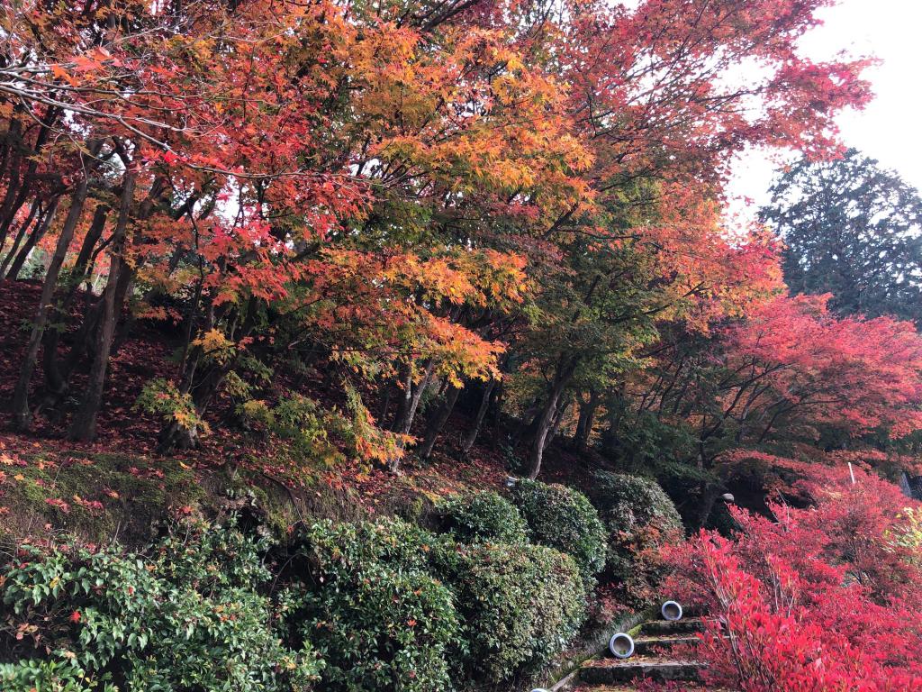 慈徳院