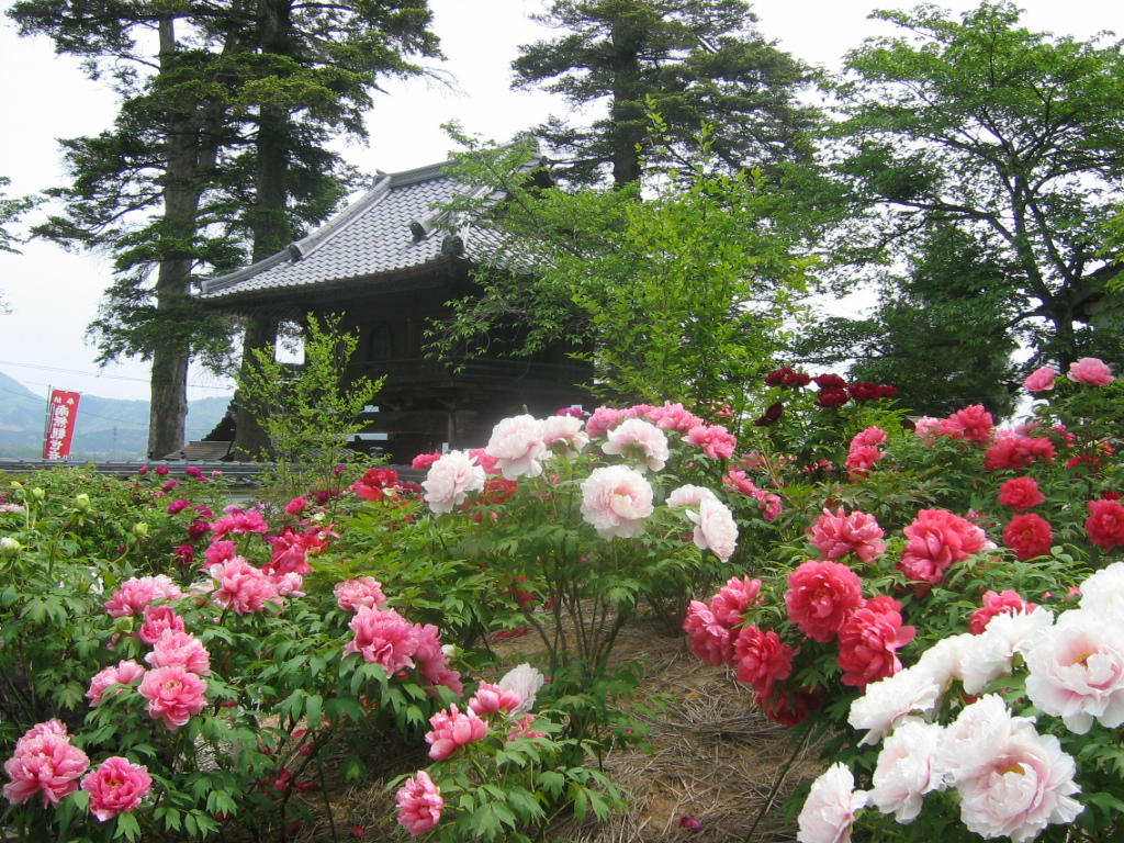 洞玄寺