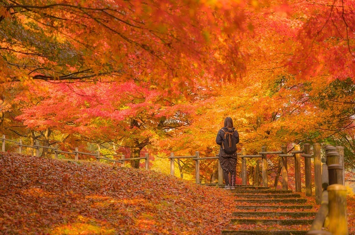 舞鶴自然文化園